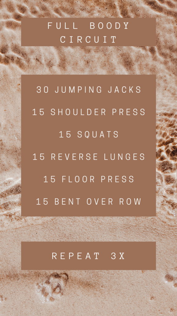 Full Body Circuit