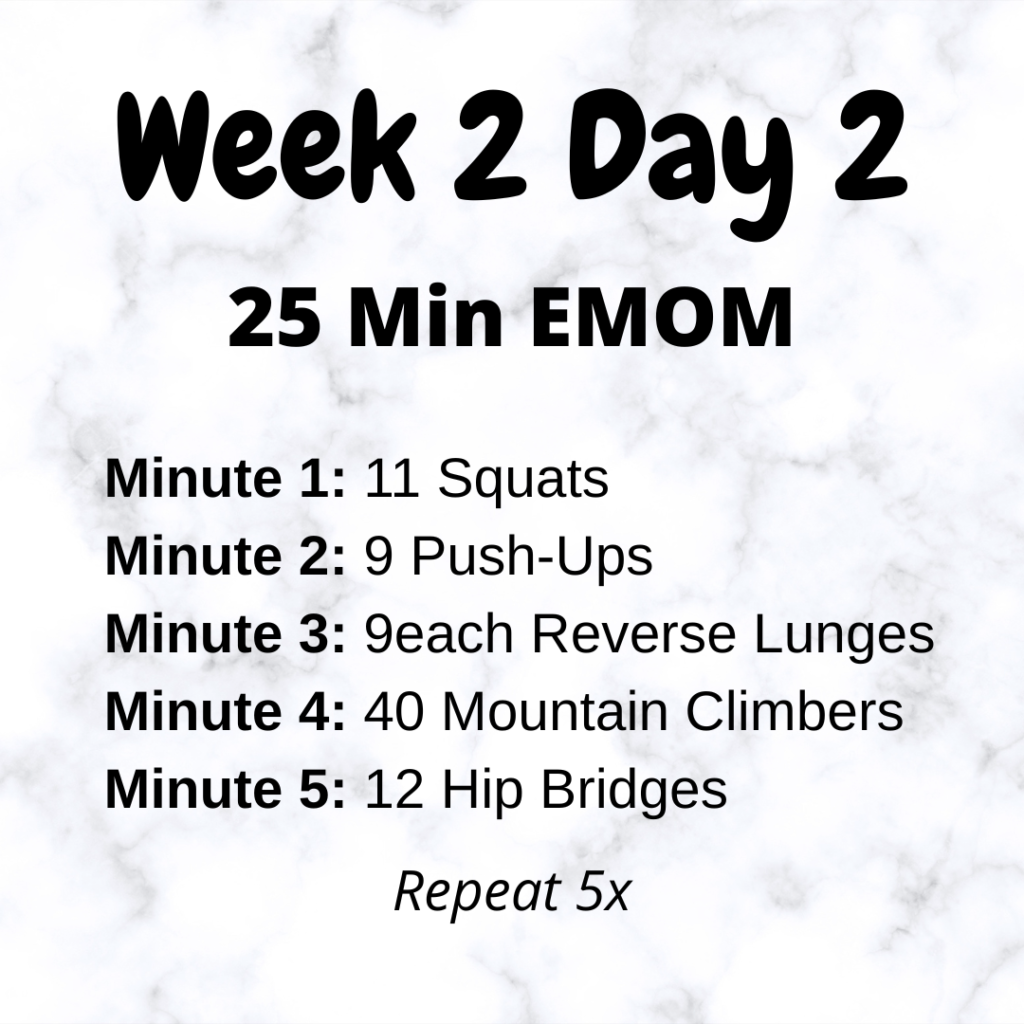 Running for Beginners - Week 2 Day 2 workout