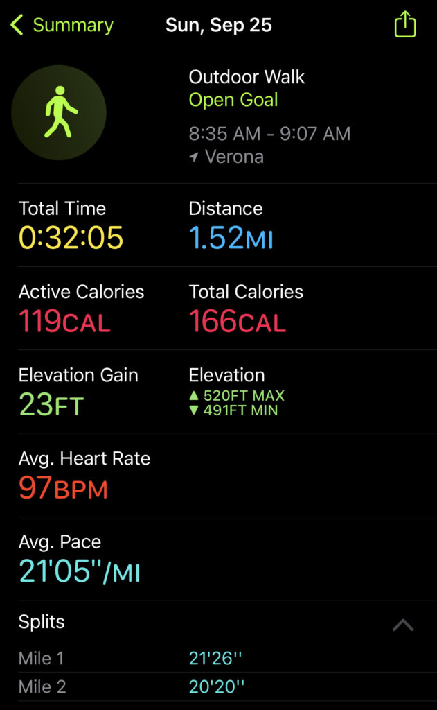 Another Off Day Walk Stats
