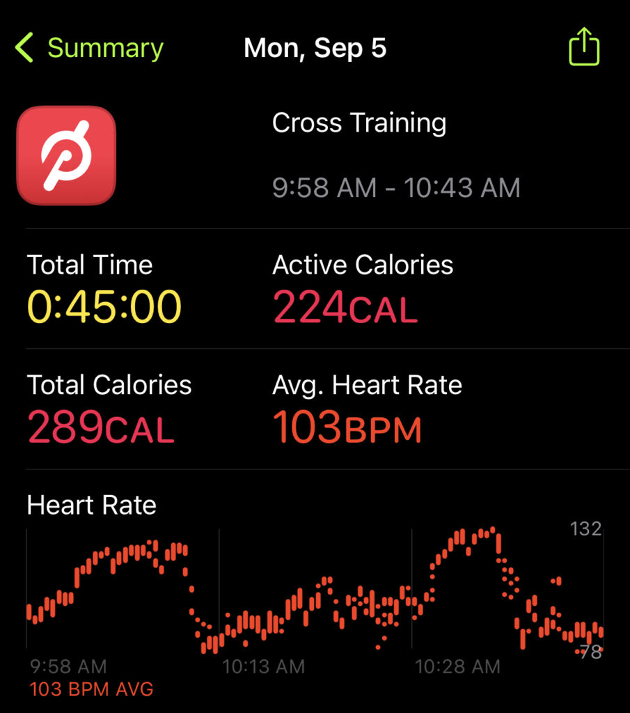 45min Biking Bootcamp stats