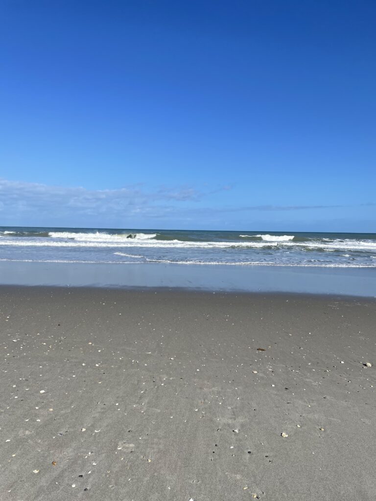 Toddler Life and Beach Day