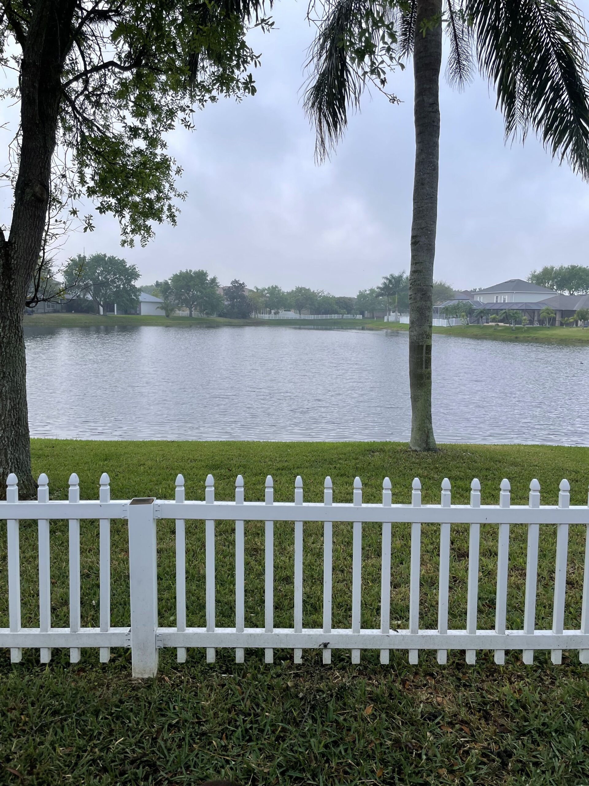 Rainy Day and Daylight Savings: Gloomy Day